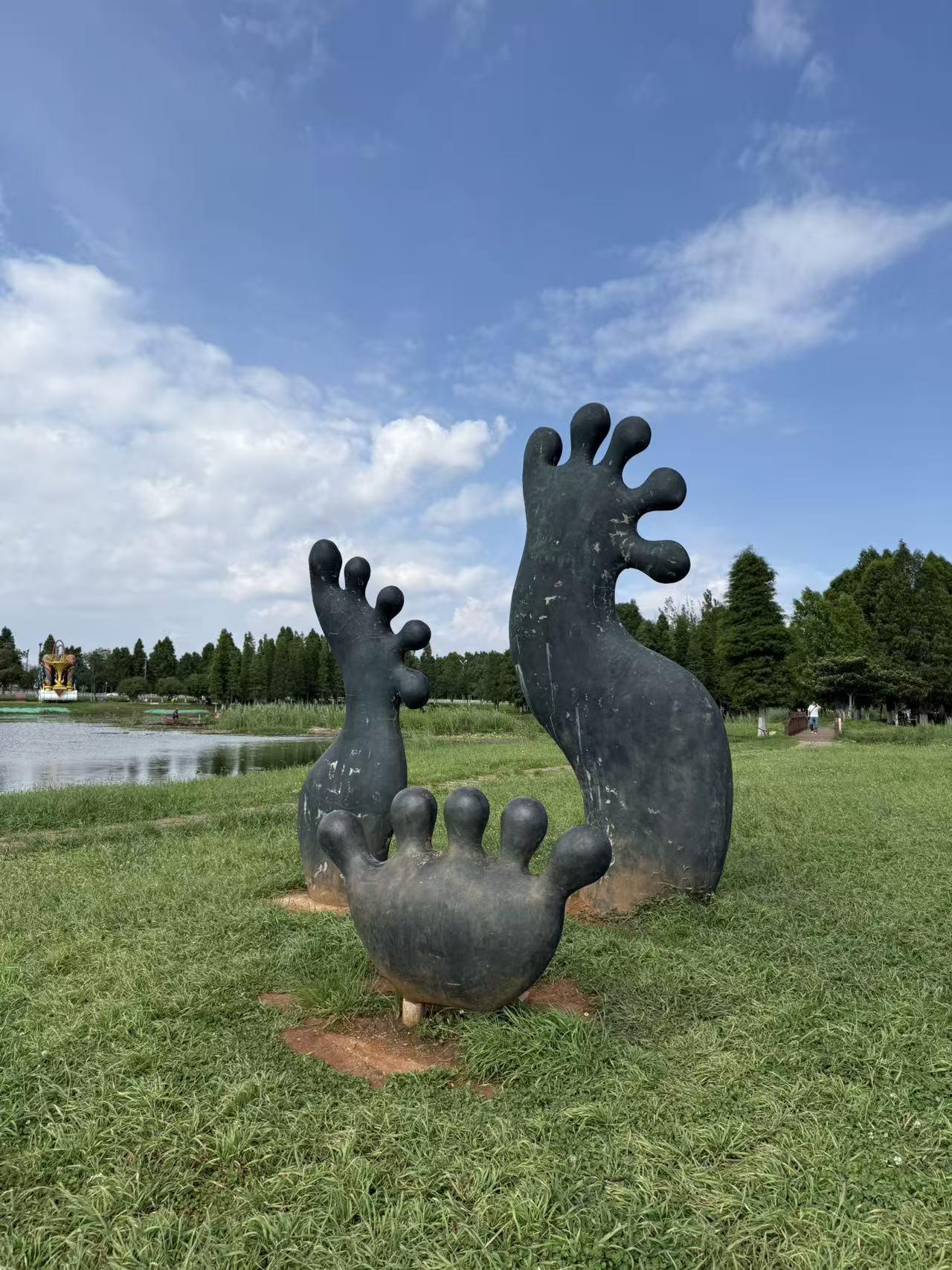 昆明宝丰湿地公园。位