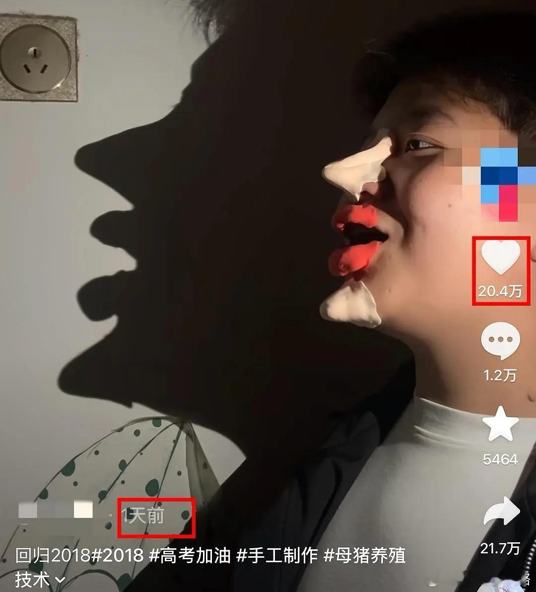 影子和赵露思一模一样