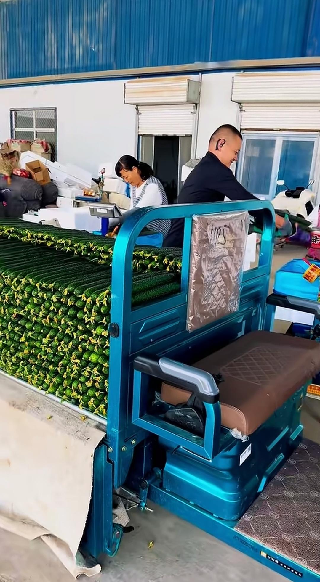 摊贩车上的黄瓜整齐得如同模具打造，这般品相能让人放心吗？放眼望去，满车黄瓜齐刷