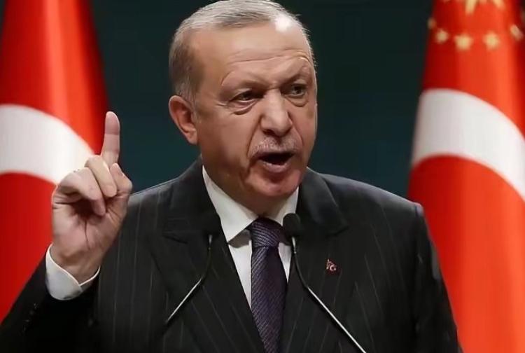 真的越看越心寒！在联合国大会台上，土耳其总统埃尔多安直接放了大招：“内塔尼亚