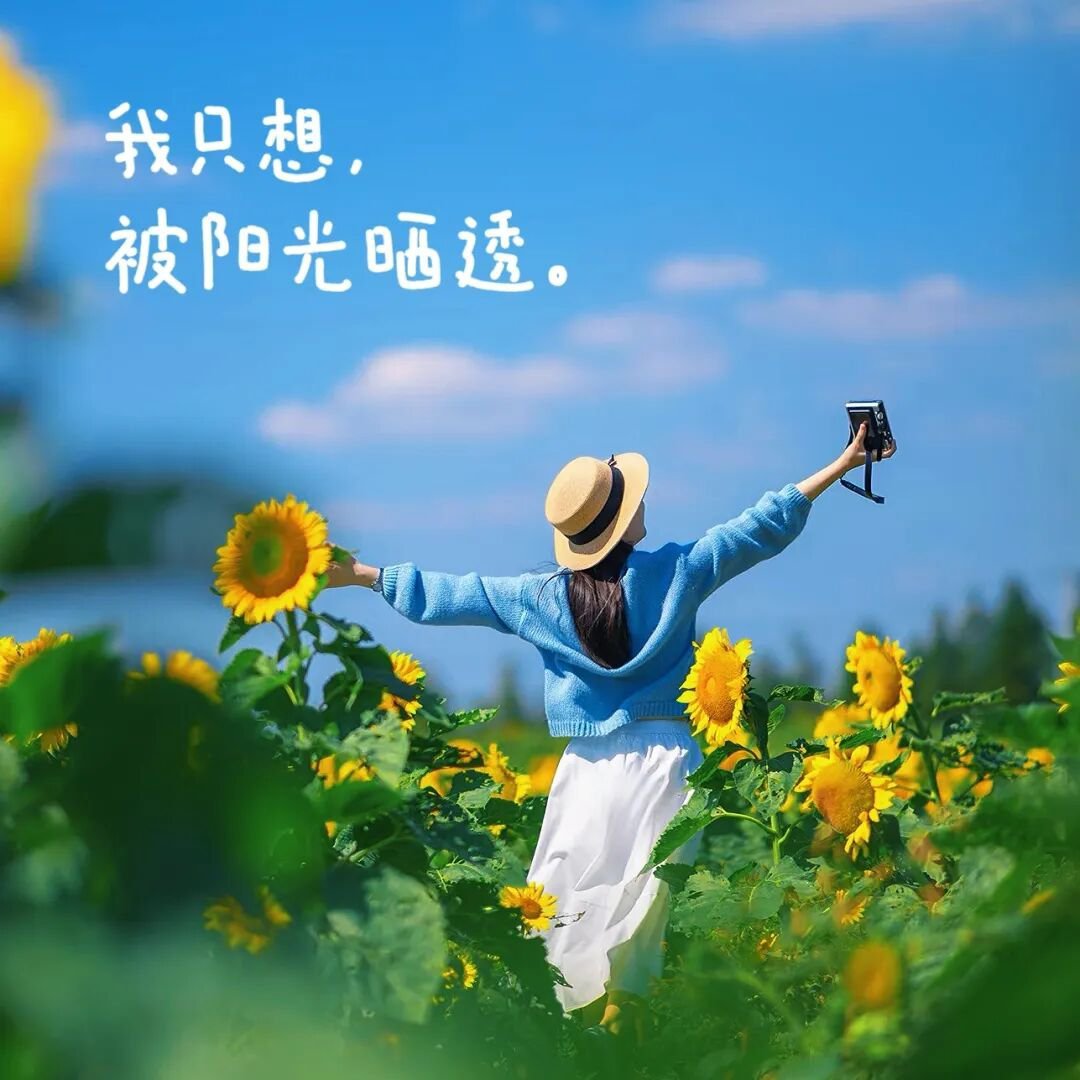 人必须出门，必须社交，必须去体验不同的事物，见各种各样的人，脑子才会思考，才能感