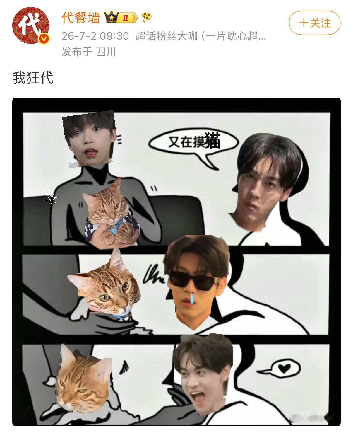 又在摸猫