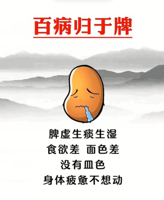 脾虚生湿、气血不足、脾胃虚寒，自查你属于哪一类
