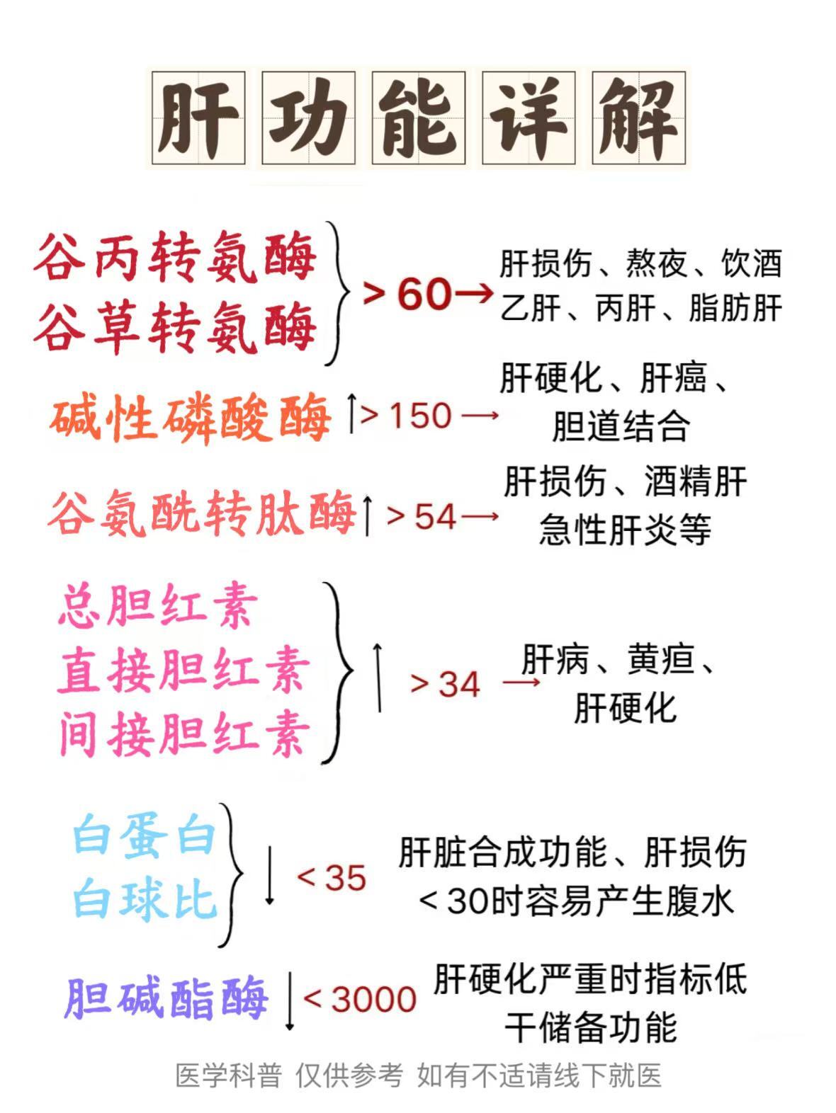 ﻿肝功能﻿ ﻿科普﻿ ﻿肝脏健康﻿ ﻿乙肝﻿ ﻿转氨酶﻿ ﻿胆红素﻿ ...