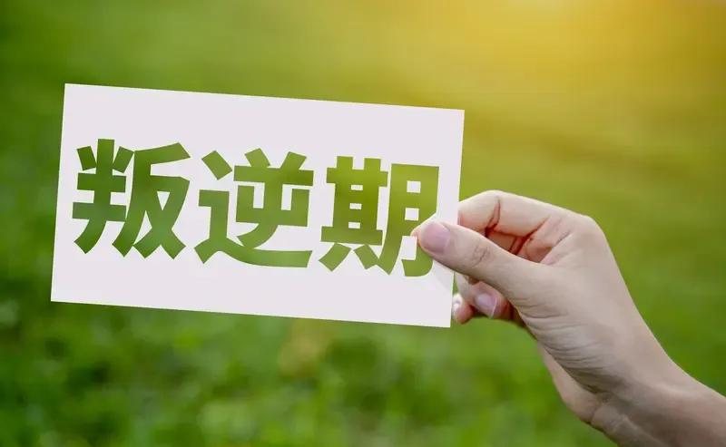 13岁娃一句话能把人气炸不是变坏了，是大脑还没长好前额叶像没装好的刹车，