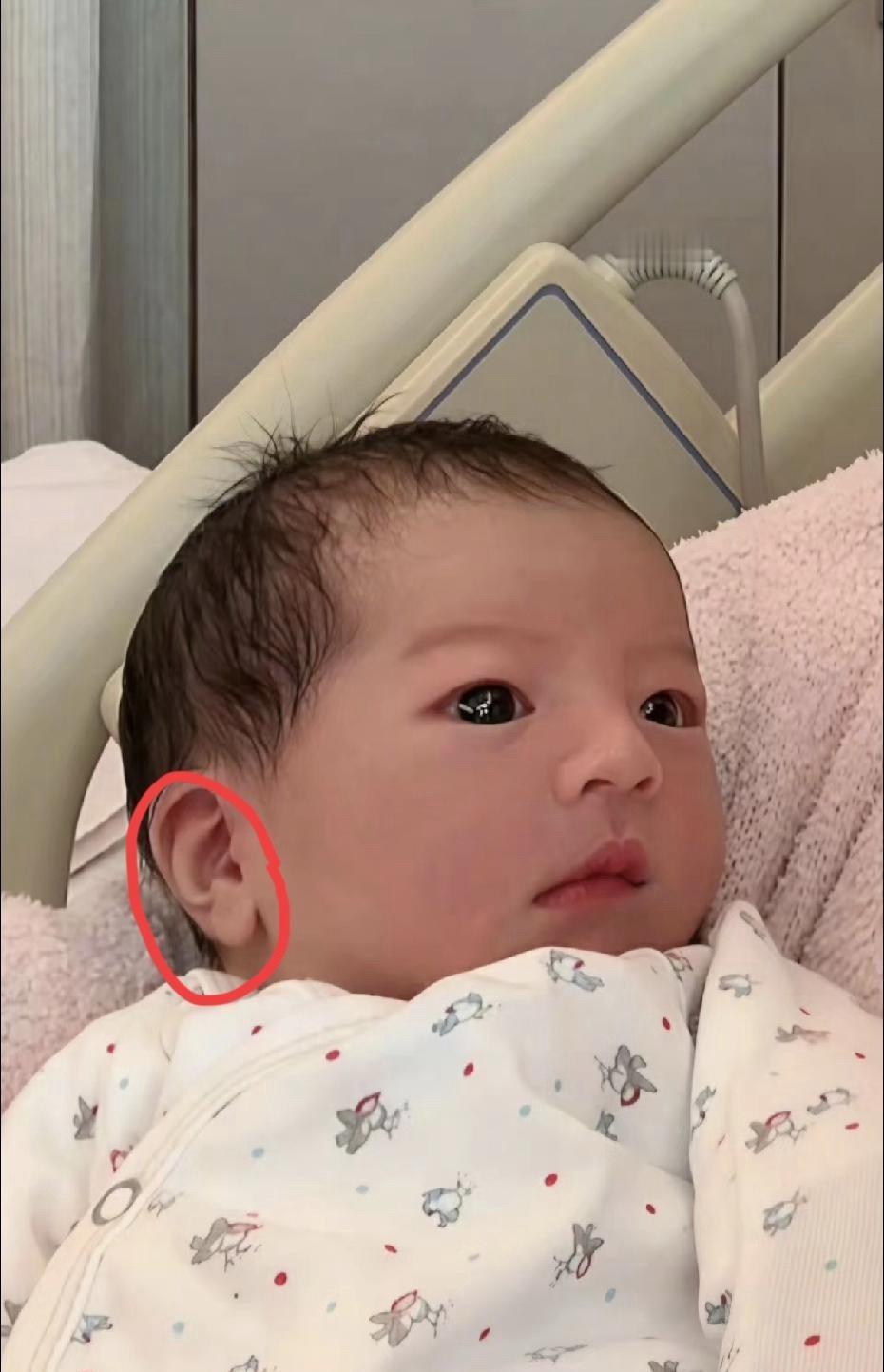 郭天王三女儿的面相不简单，不仅是因为高鼻梁，也不仅是因为眼睛，最重要的是她的耳垂