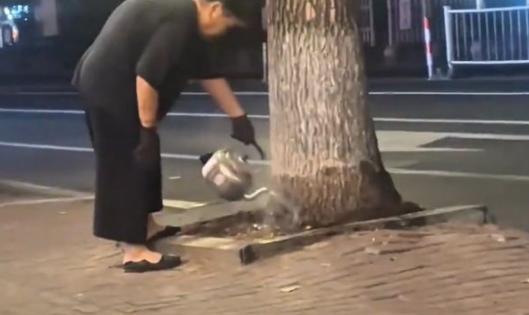 “太离谱了！”沈阳一大妈连续两周晚上，提着一壶开水去小区路边浇树，邻居开始都以为