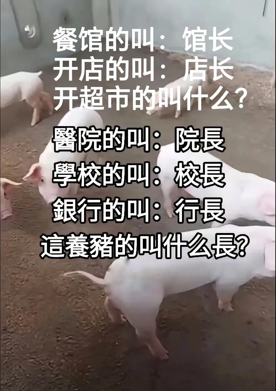 既然医院的叫做：院长学校的叫做：校长银行的叫做：行长餐馆的叫做：馆长开店