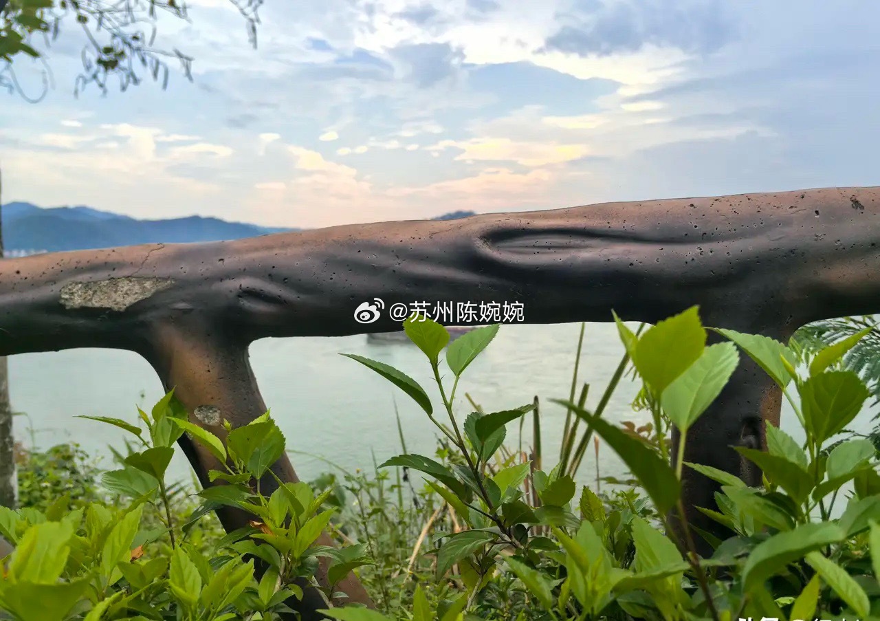为什么股市里留下来的人都是赚钱的？因为那些不赚钱的人，早就销户不炒了。为什么古诗