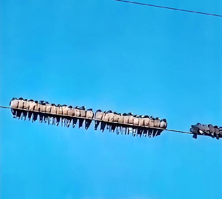 面相真的很重要，陌生人第一次见面的好感基本上来自面相。才开始做装修时，给人家做