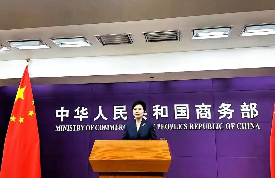 就在刚刚，中国商务部发表严正声明！6月13日，中国商务部发表严正声明：敦