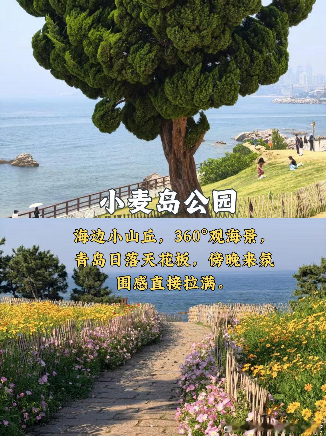 青岛一日游｜白天看海🌊夜晚逛即墨古城 ✨一条路线打卡9个点位，海边与古城一次性解锁 🚗路线行程栈