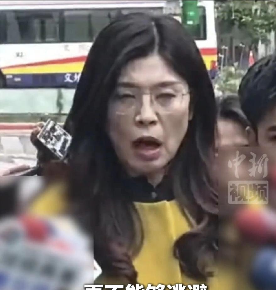 国民党现任主席郑丽文突然说出惊人之语。她说出了什么惊人之语？就在刚刚过去