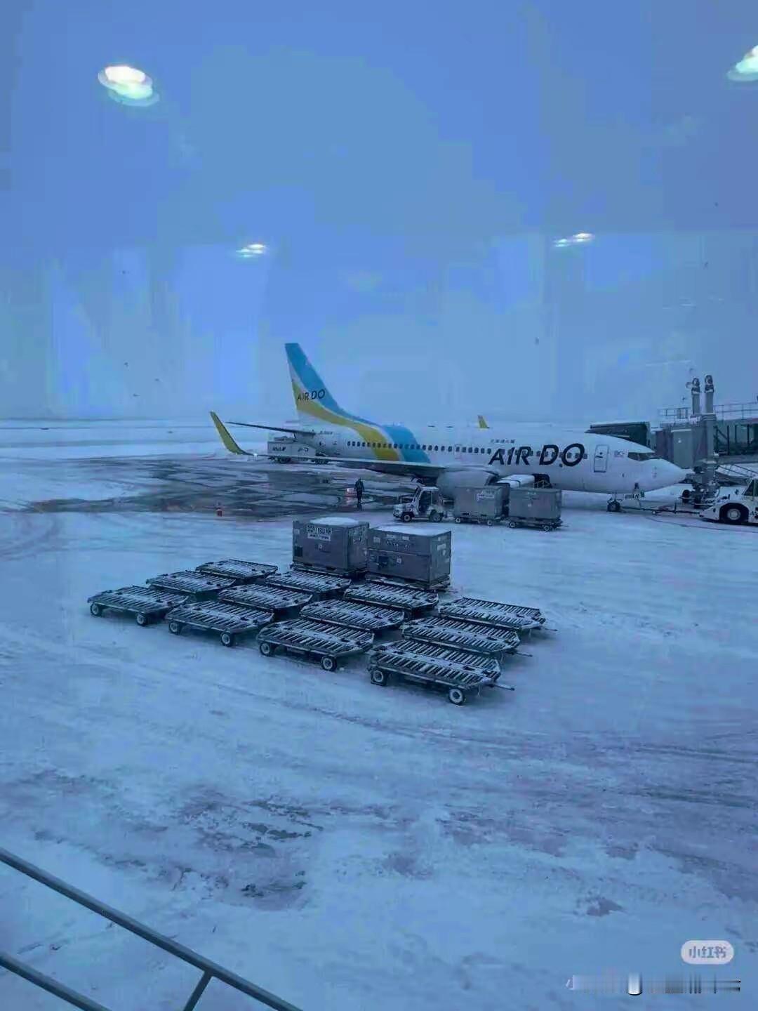 不听劝，真的出事了我昨天刚刚说了国家已经第3次关于赴日旅游安全提醒，但是仍然