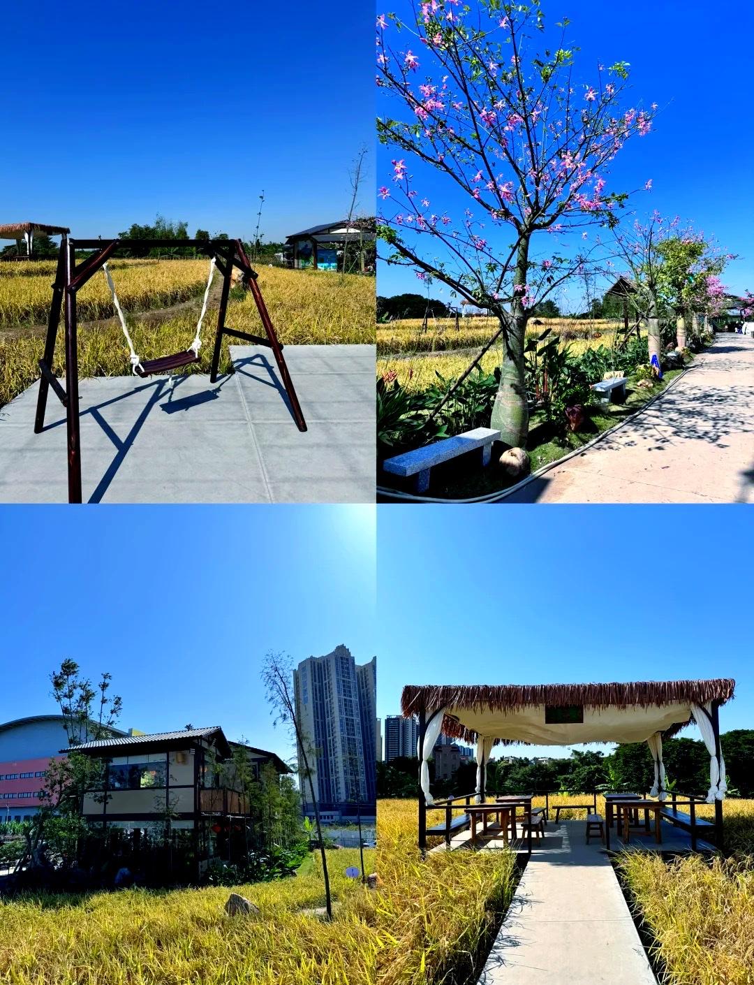 顺德陈村·禾美农场｜游玩攻略📍地址：佛山顺德陈村镇绀现村（梁钊林纪念小学后