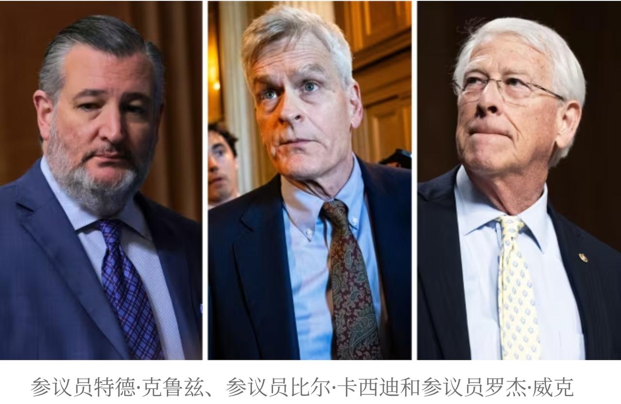 共和党人罕见“倒戈”，特朗普伊朗协议引爆党内危机当特朗普总统与伊朗秘密谈判的