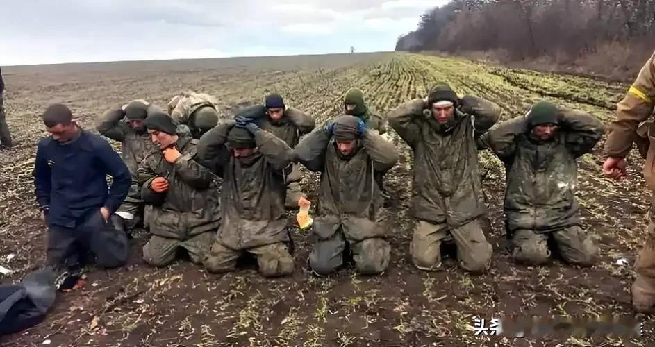 乌军快扛不住？50万精锐打到只剩72万！俄乌战争乌克兰兵源危机乌克兰这波