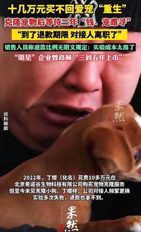 北京，女子花10多万，在一家公司克隆自己去世的小狗，谁知女子等了3年，不仅狗没