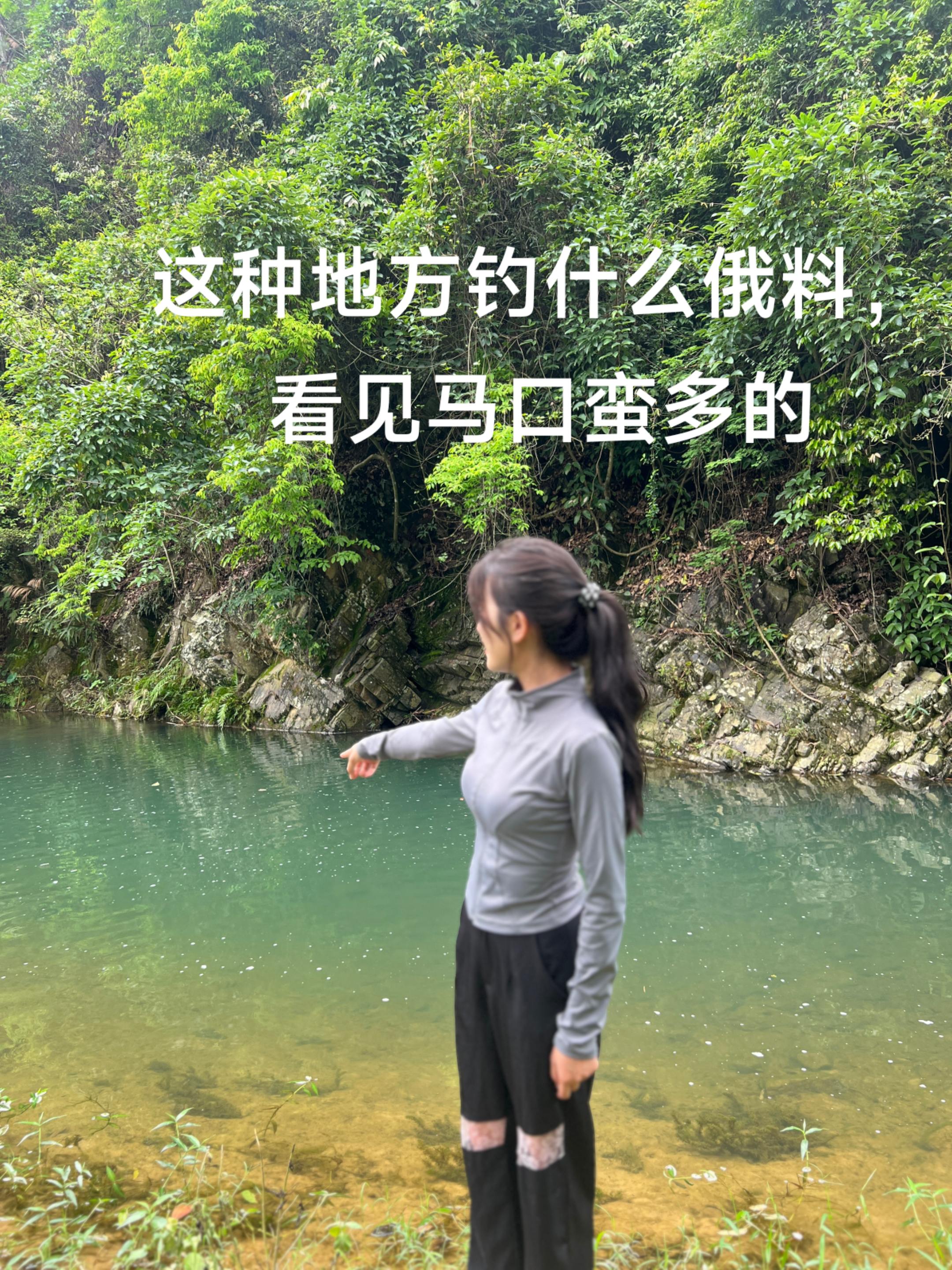 有鲶鱼吗？