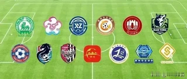 今年夏天的快乐是江苏省给的外界传言江苏是一盘散沙这次足球联赛算是彻底做实
