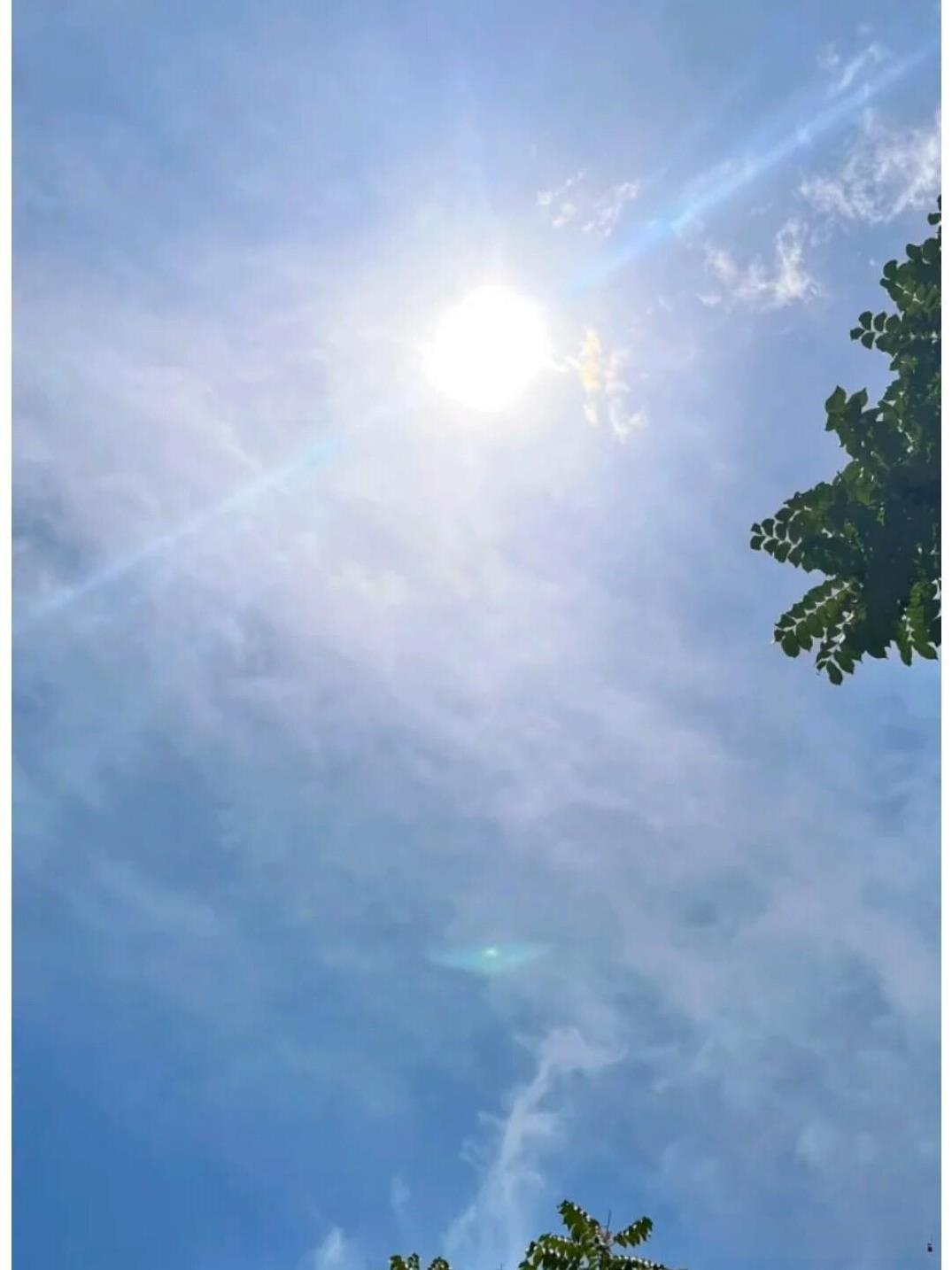大家发现没有，今年可是太反常了，都立秋一个多月了，最近几天的气温还是很高，
