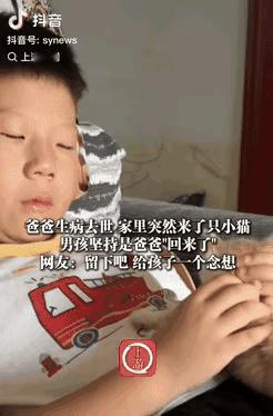 “彻底解释不清了！”在河南，有个小男孩的爸爸去世了，小男孩就做了个梦，梦到自己的
