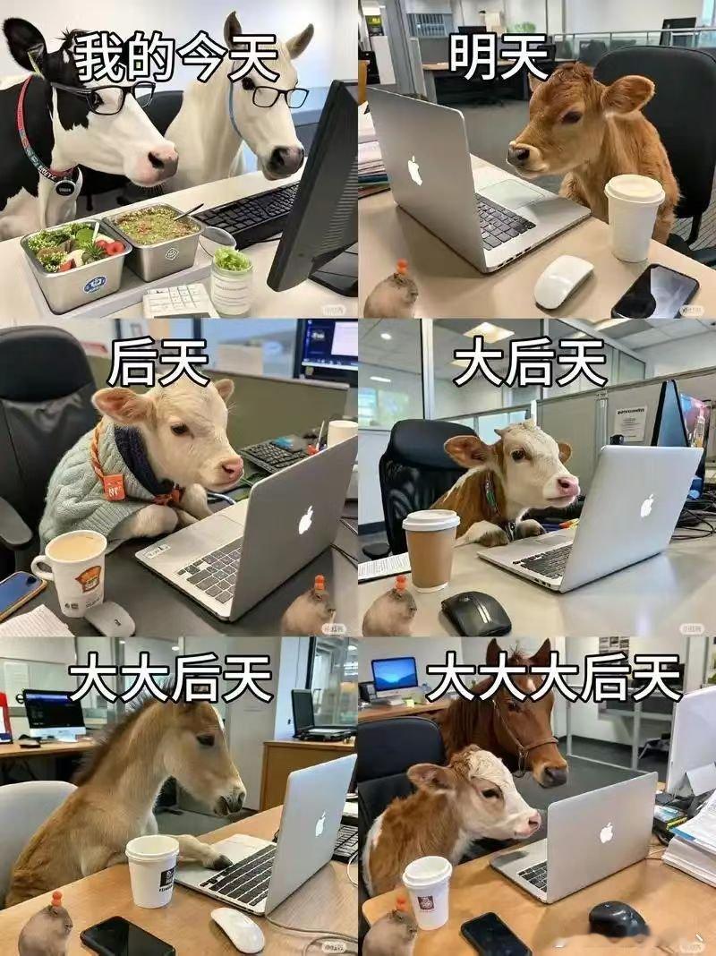 打工人牛马打工人的碎碎念​​​