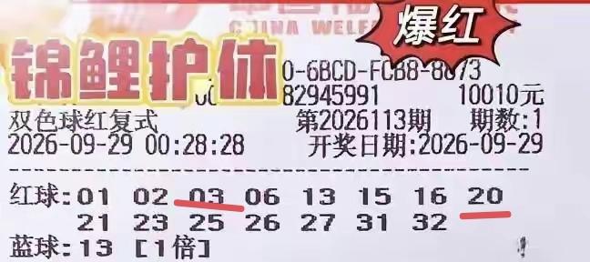 这一张彩票鹤立鸡群，真的是爆红，花了10,010元，买了一张15+1的复式彩票，