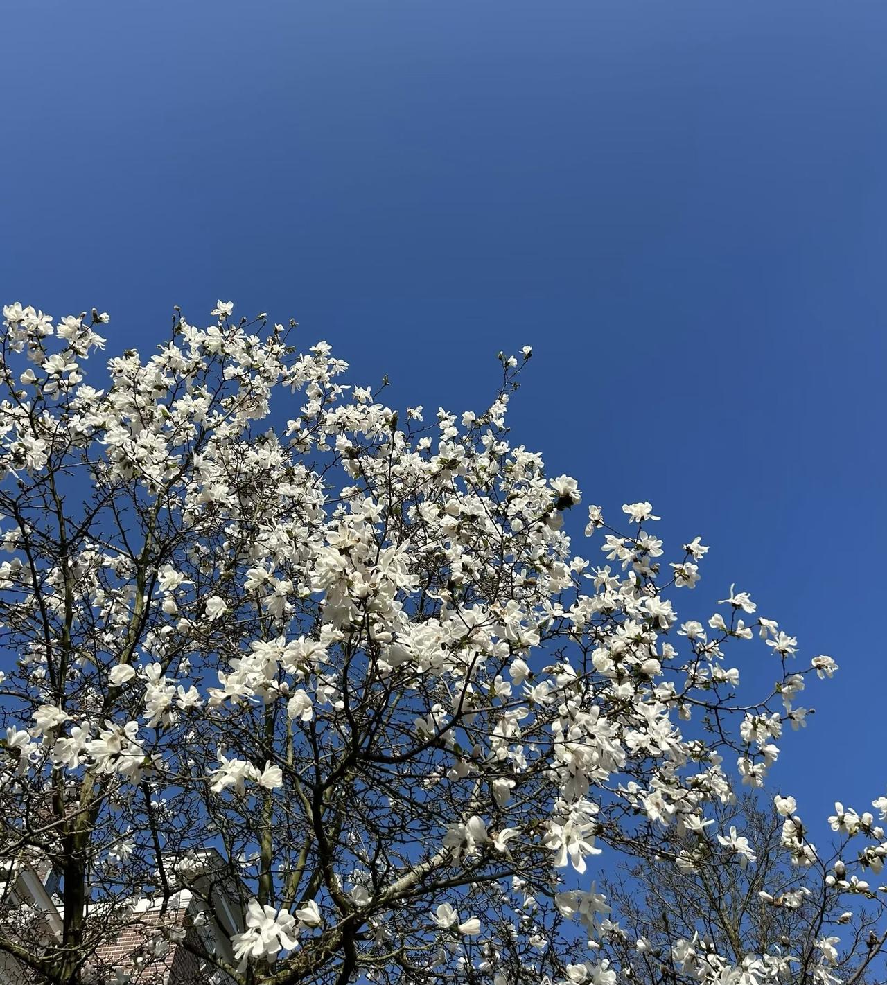少与人周旋，多看大自然！