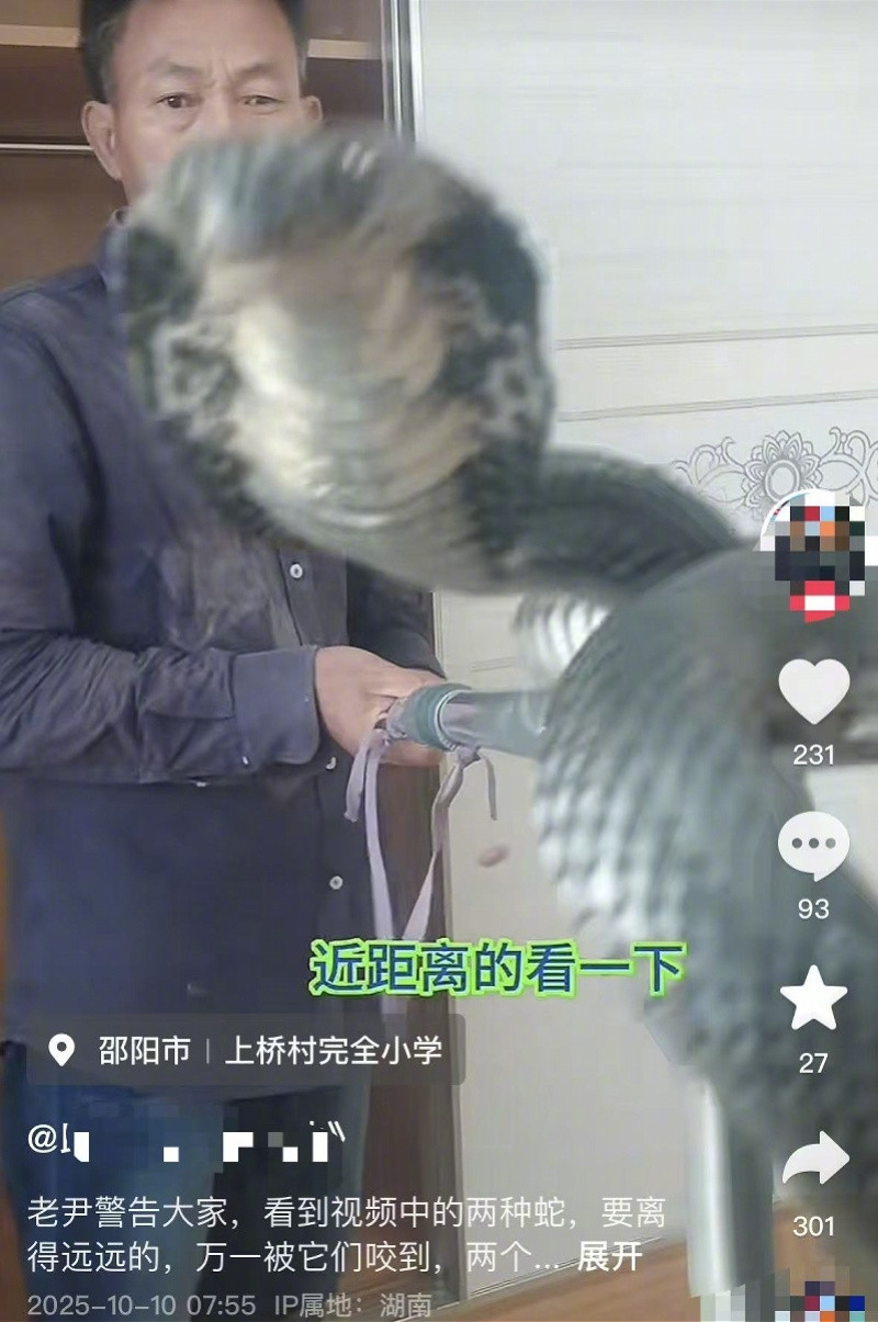 #被蛇咬伤网红正接受公安调查#【男子“直播抓蛇被咬后失联”，当地称人已找到！正接