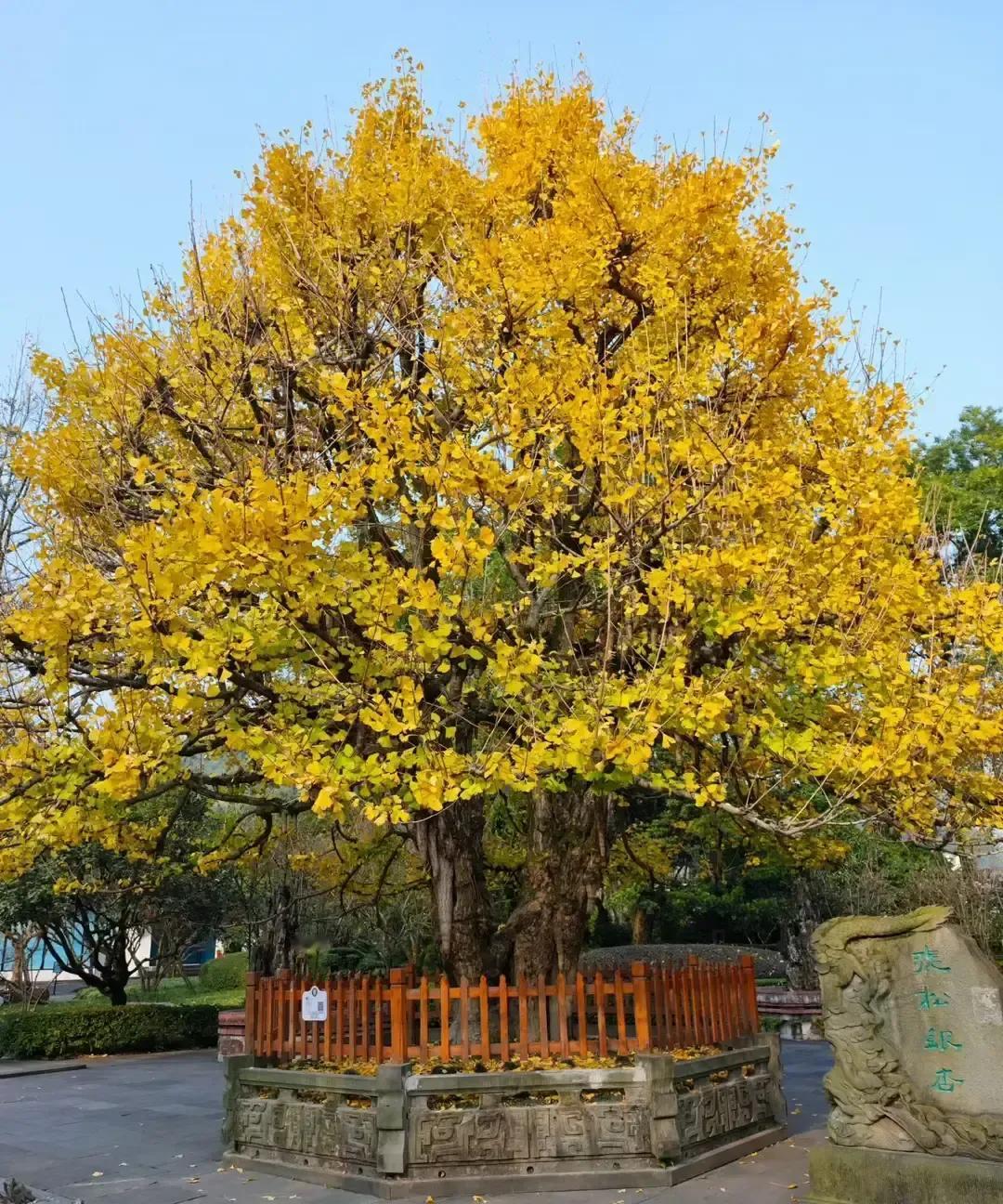 冯唐把《礼记》那句“君子慎其独”翻出来，拿苏轼和楚庄王当例子，说独处时管住自己才