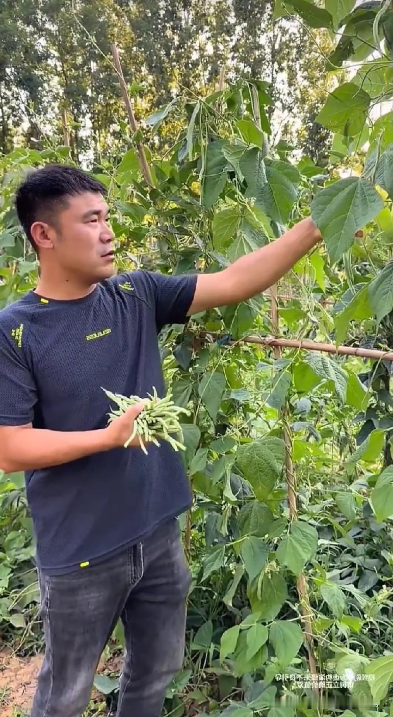 小故事！半熟说李佳今天吃饺子吗？明明李佳正在用刀切面，他问着说揣着明
