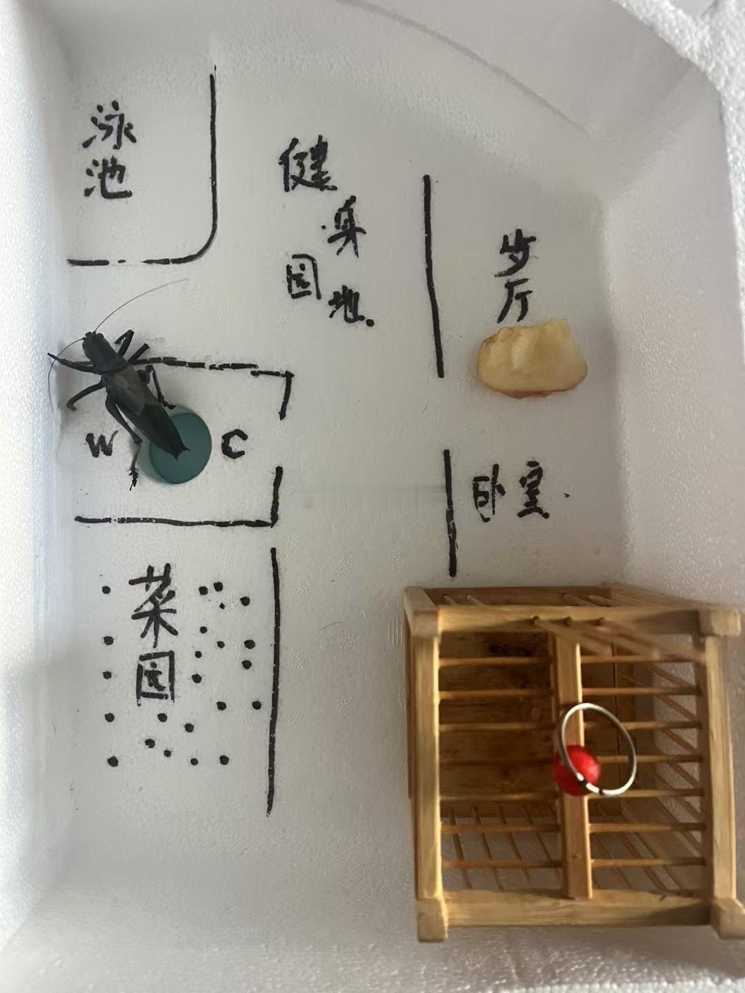 伸缩式电动门把手，液晶屏换挡，要么语音控制空调温度，要么液晶屏里调整空调温度，就