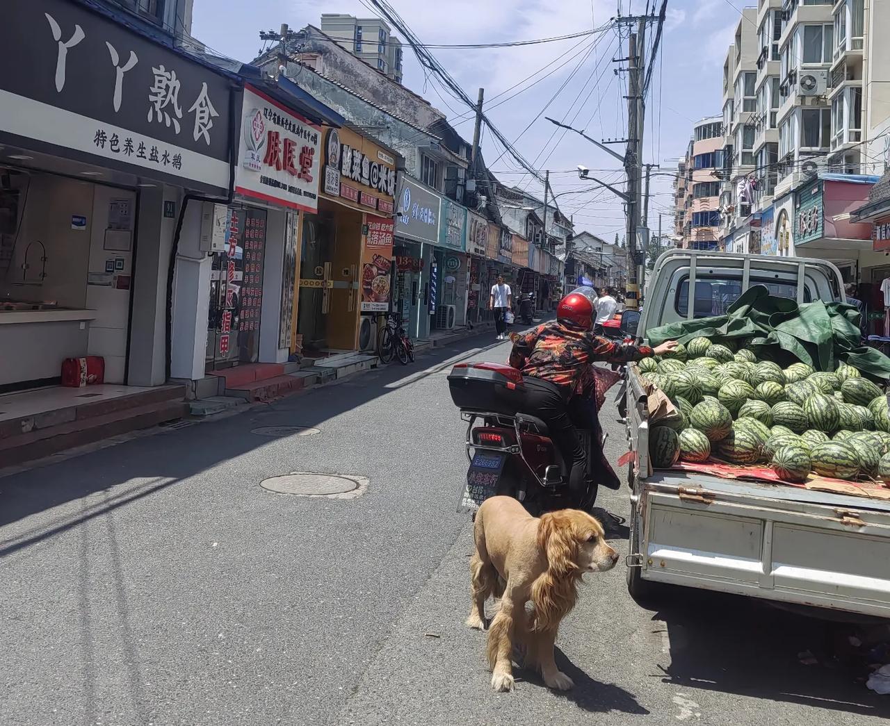 朱泾古镇上海市金山县撤县建区前，朱泾镇一直是金山县城所在地。镇上的东林街