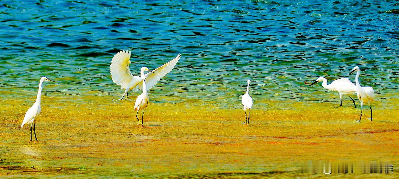 我三叔今年81了。去医院检查，大夫说他心血管堵了85%，但他死活不肯做手术。