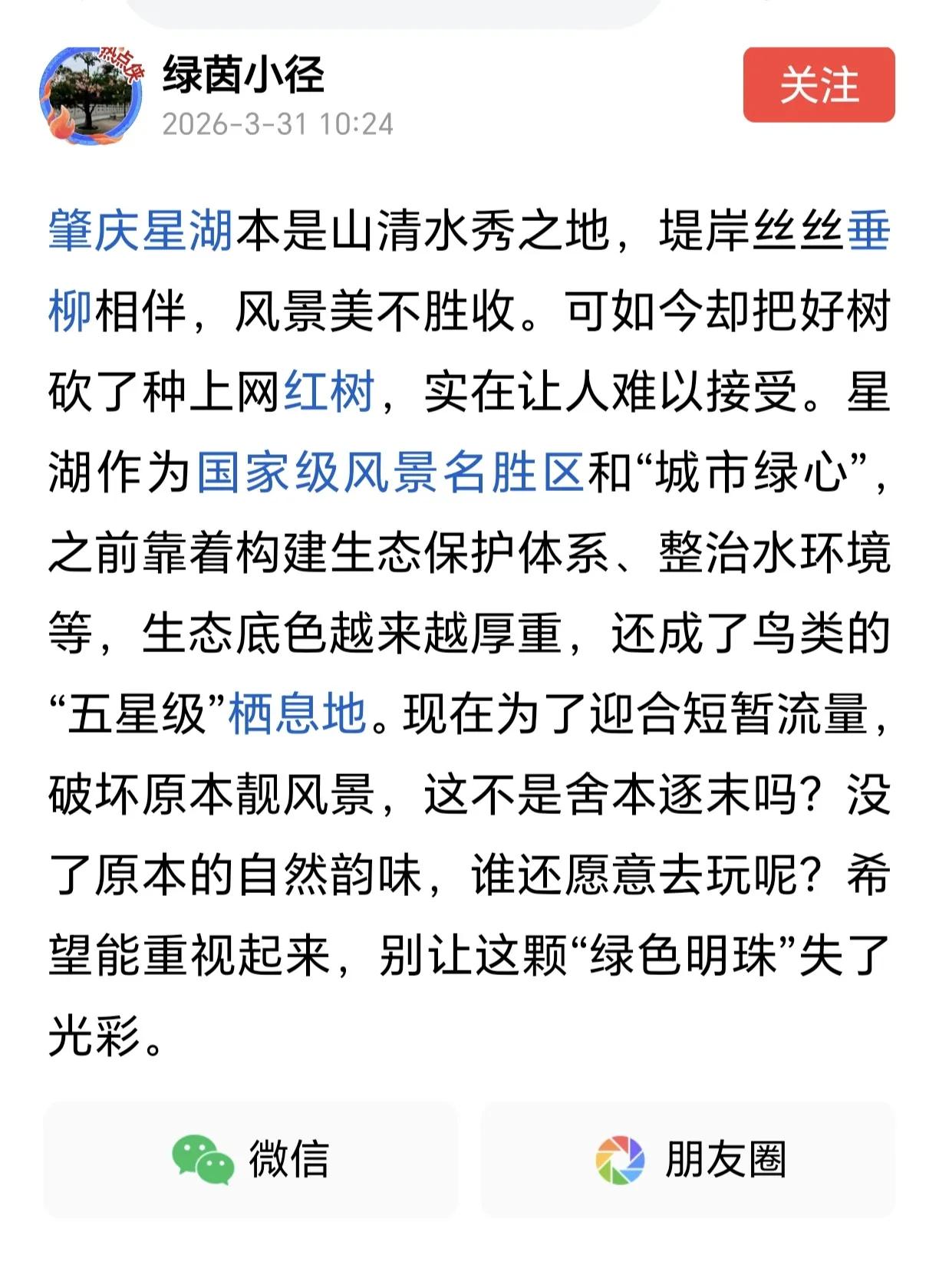 什么逻辑啊？难道现在种的宫粉紫荆树不长叶？它会影响生态？种柳树就是生态？柳树掉叶