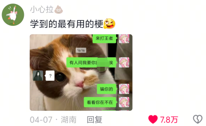 学到的最有用的梗