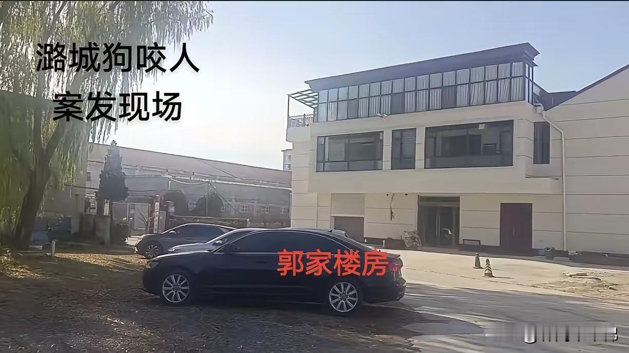 郭家和申家，一家是气派三层洋房，一家是普通小院儿。这样的两家人同住一村做邻居