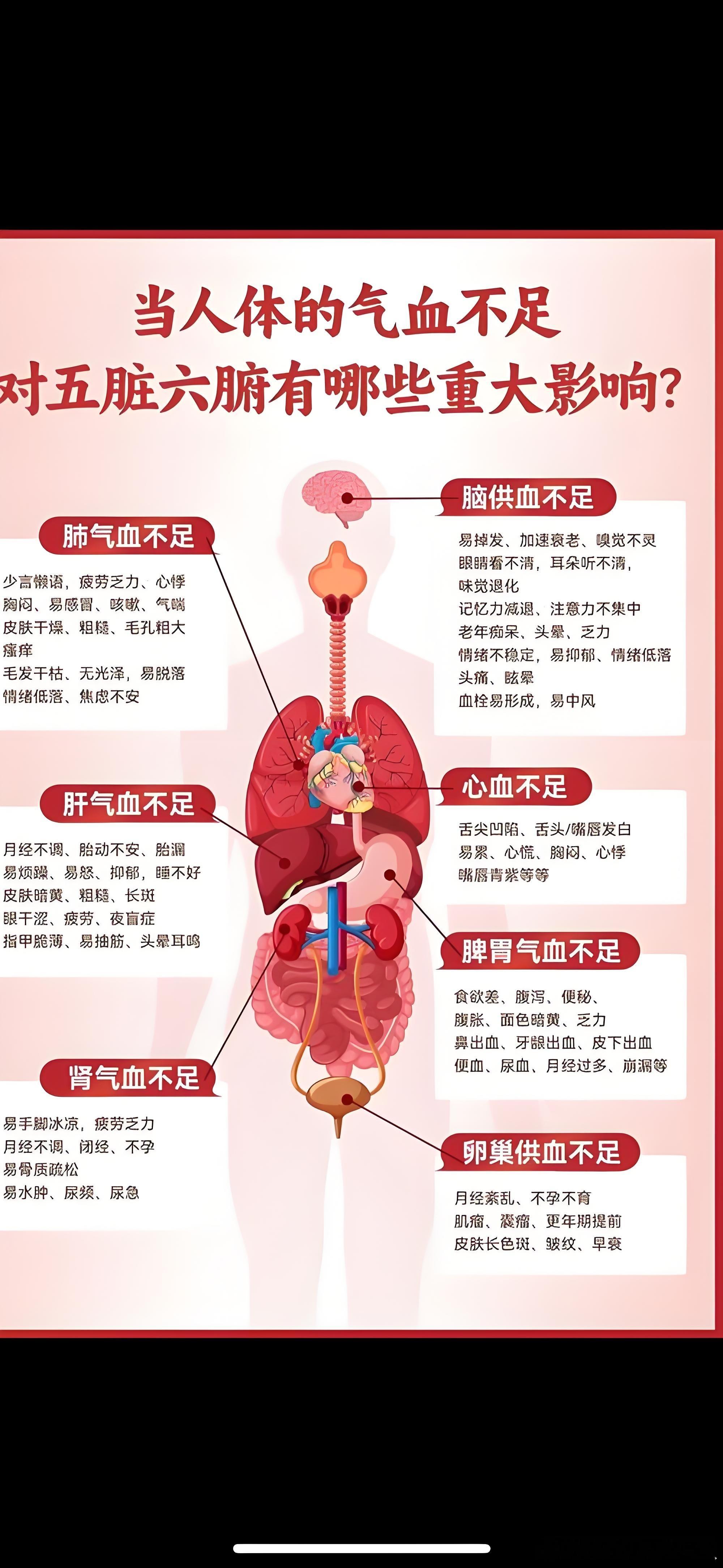 气血：生命的江河，健康的根本你是否想过，我们的身体里藏着一片浩瀚天地？气血，便