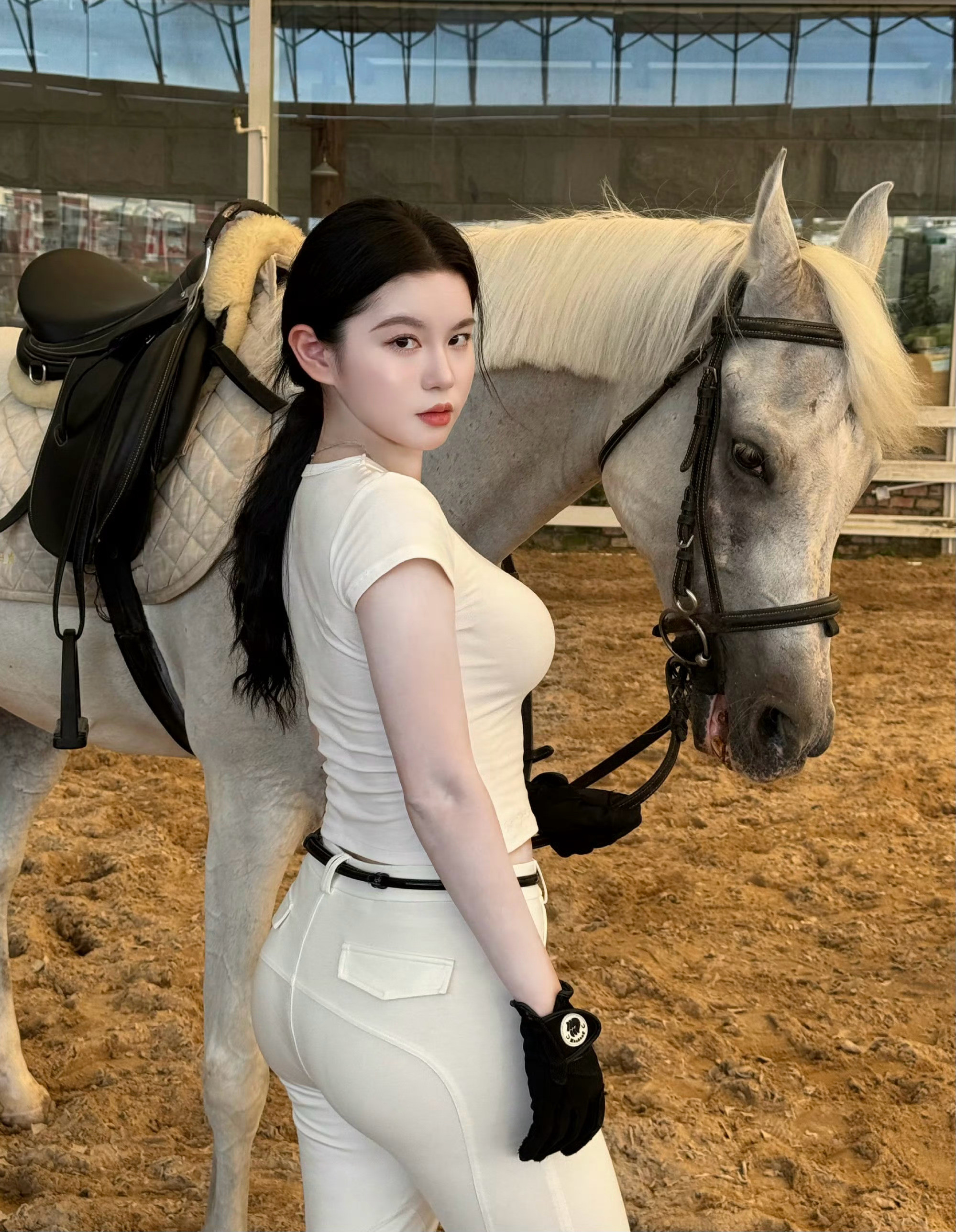 在马场邂逅优雅时刻：与骏马相伴，开启一场与自然的深度对话​​​