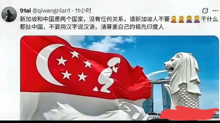 网友发了一张图，把新加坡某些人气坏了，有人说，不要动辄拿别国国旗玩梗，问题是，