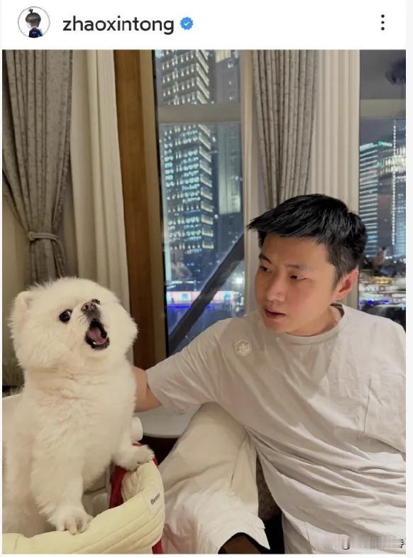 临近玉山公开赛仅有3天，赵心童还在深圳安心撸狗，在赵心童的社交媒体中，这个小狗也