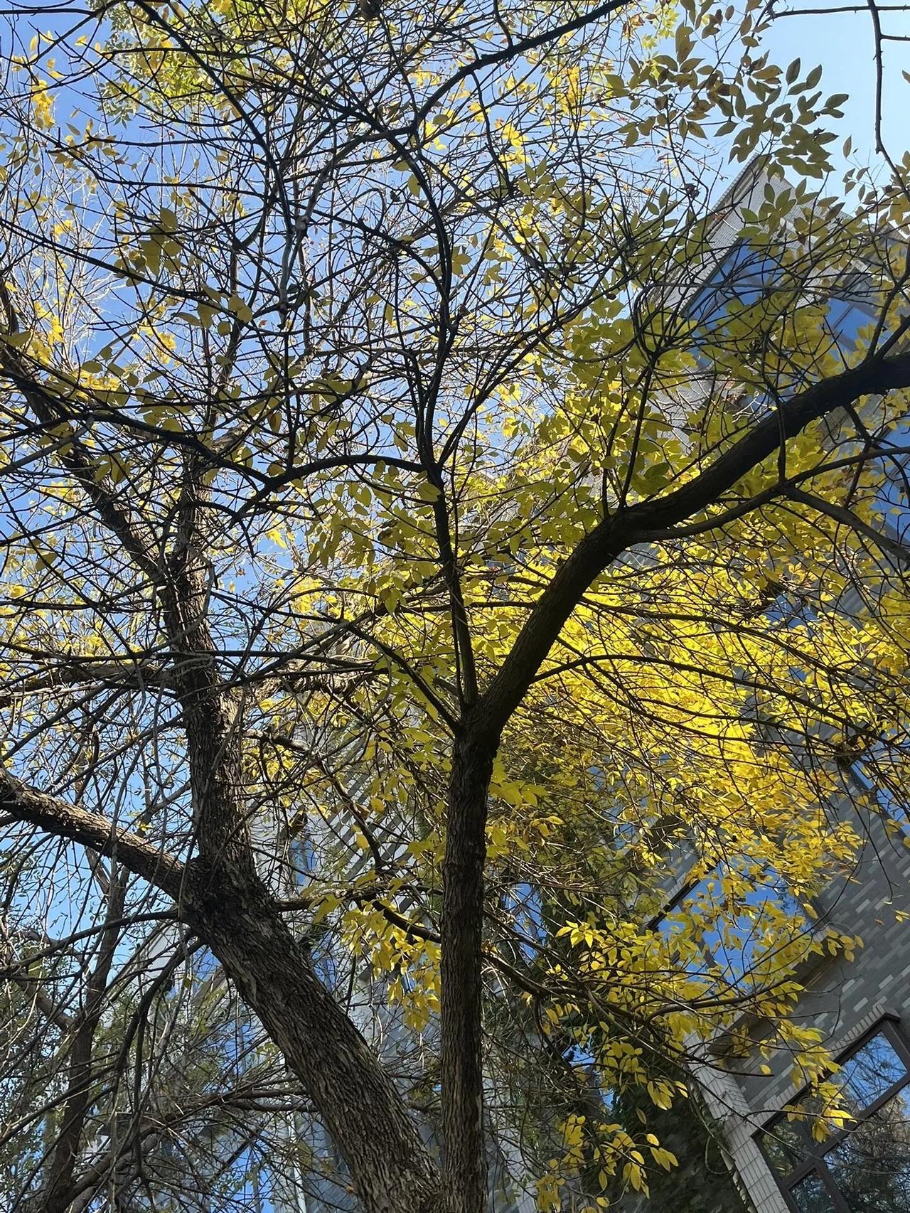 结婚家里不出钱咋释怀和男朋友已经到了谈婚论嫁的地步了，现在自己在外边工作，和妈