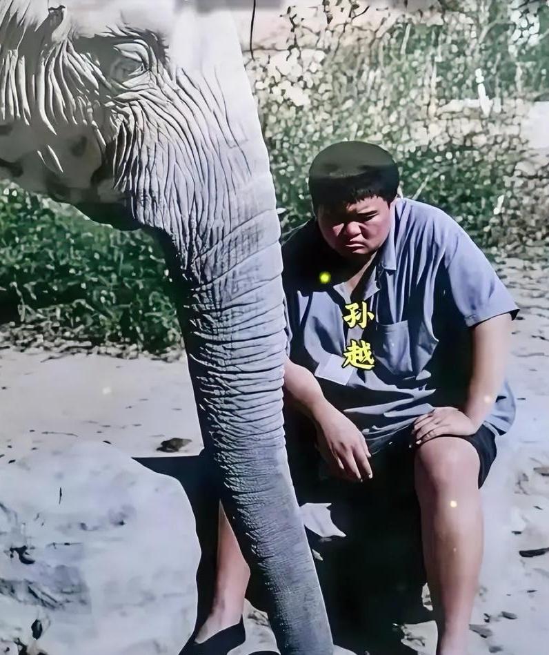 这是一张孙越年轻时养大象的照片，孙越真养过大象，并且一养就是十年。那个时候养大象