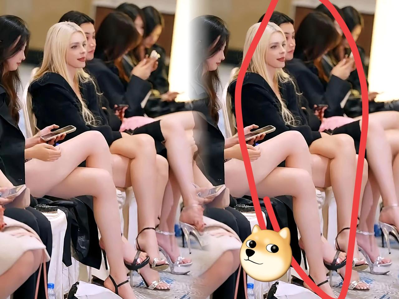 这张图直接把我整懵了！教科书里的“黄白种人”划分，原来就是西方编的洗脑话术！