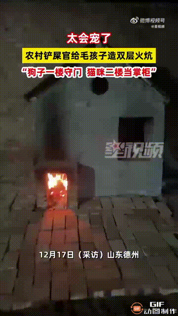 山东德州一名男子在乡下居住，收养了4只小狗和10只小猫，由于天气慢慢变冷，为了不