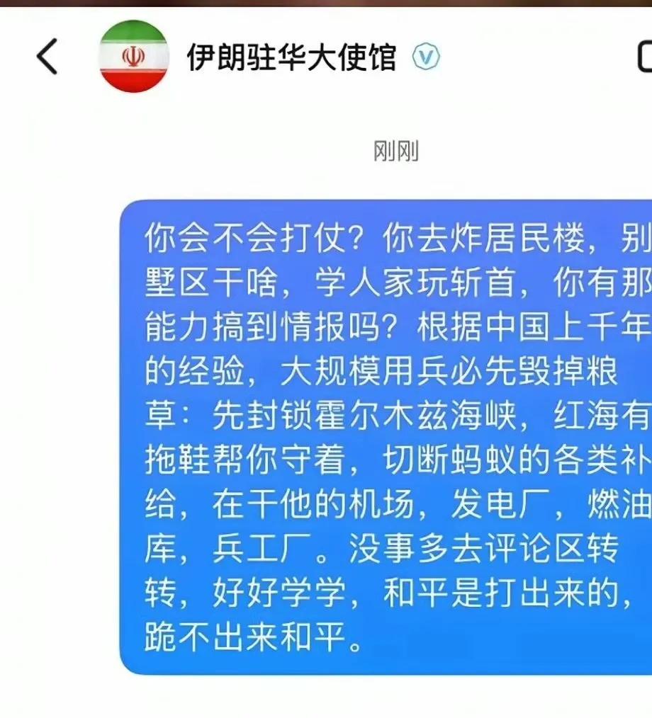波斯打仗肉且菜，东大网友急死了。​​​直接在波斯官方账号下献计献策，建议波斯把