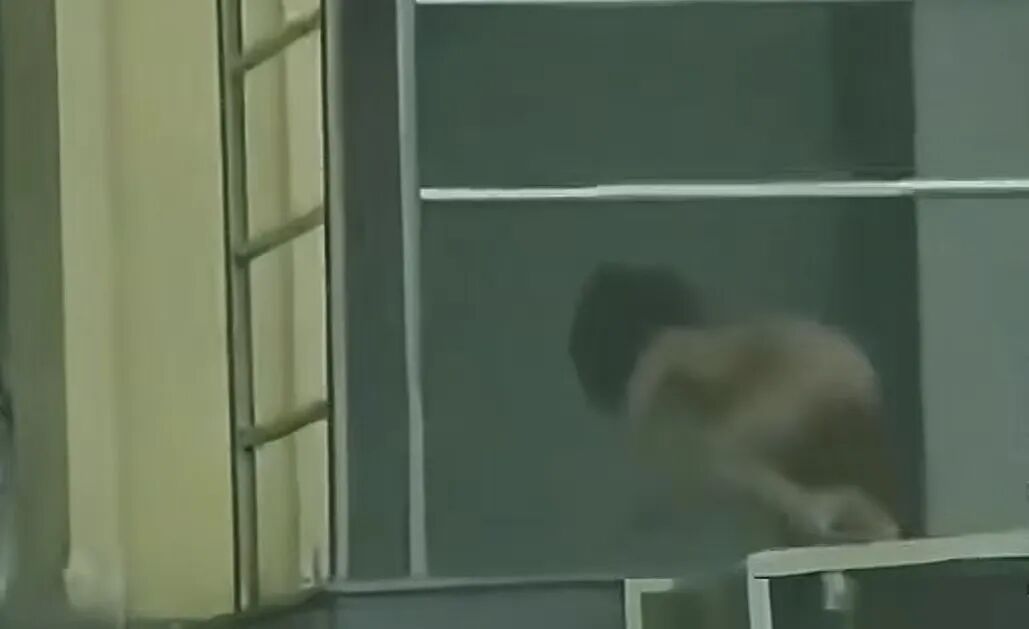 高速服务区现“野人孩子”? 当地回应: 父母高学历, 不愿沟通