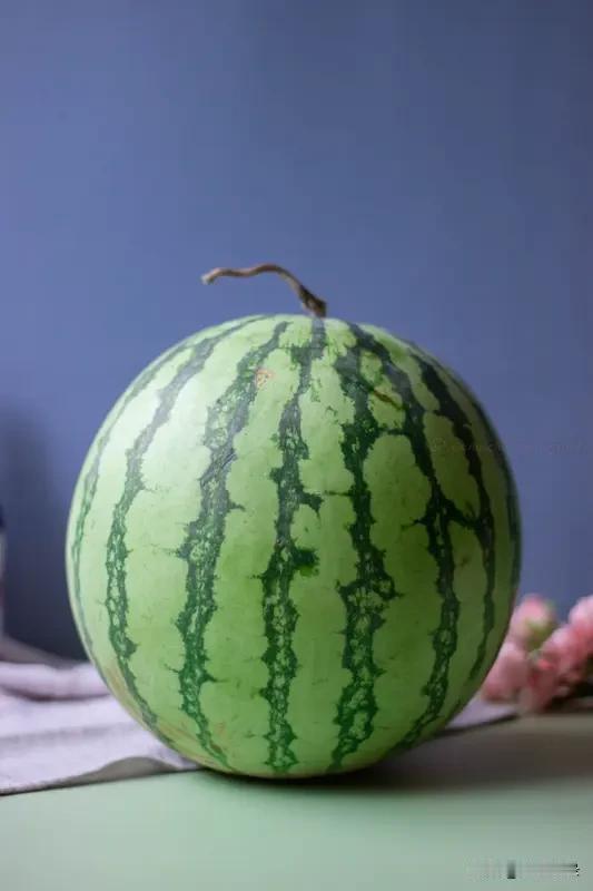小时候我家有一片洼地种了花生花生棵间种了西瓜听人说西瓜成熟的标志就是