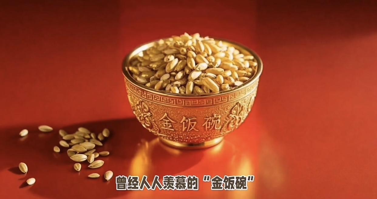 金饭碗彻底凉了！超10万人跑路，以前大家挤破头都想进，觉得稳定又体面，妥妥